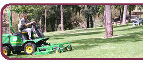 Mowing 2